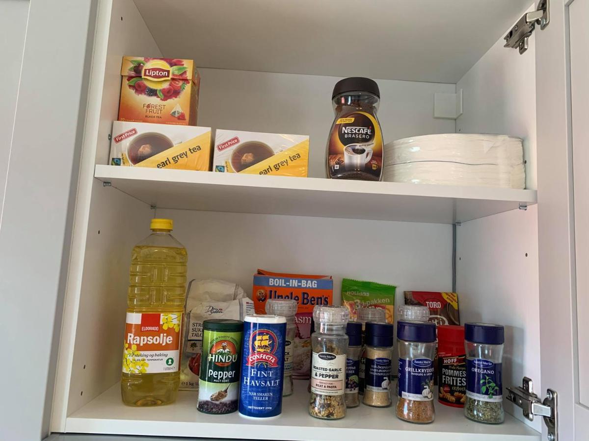 Notodden Sentrum Apartment No 6 Zewnętrze zdjęcie